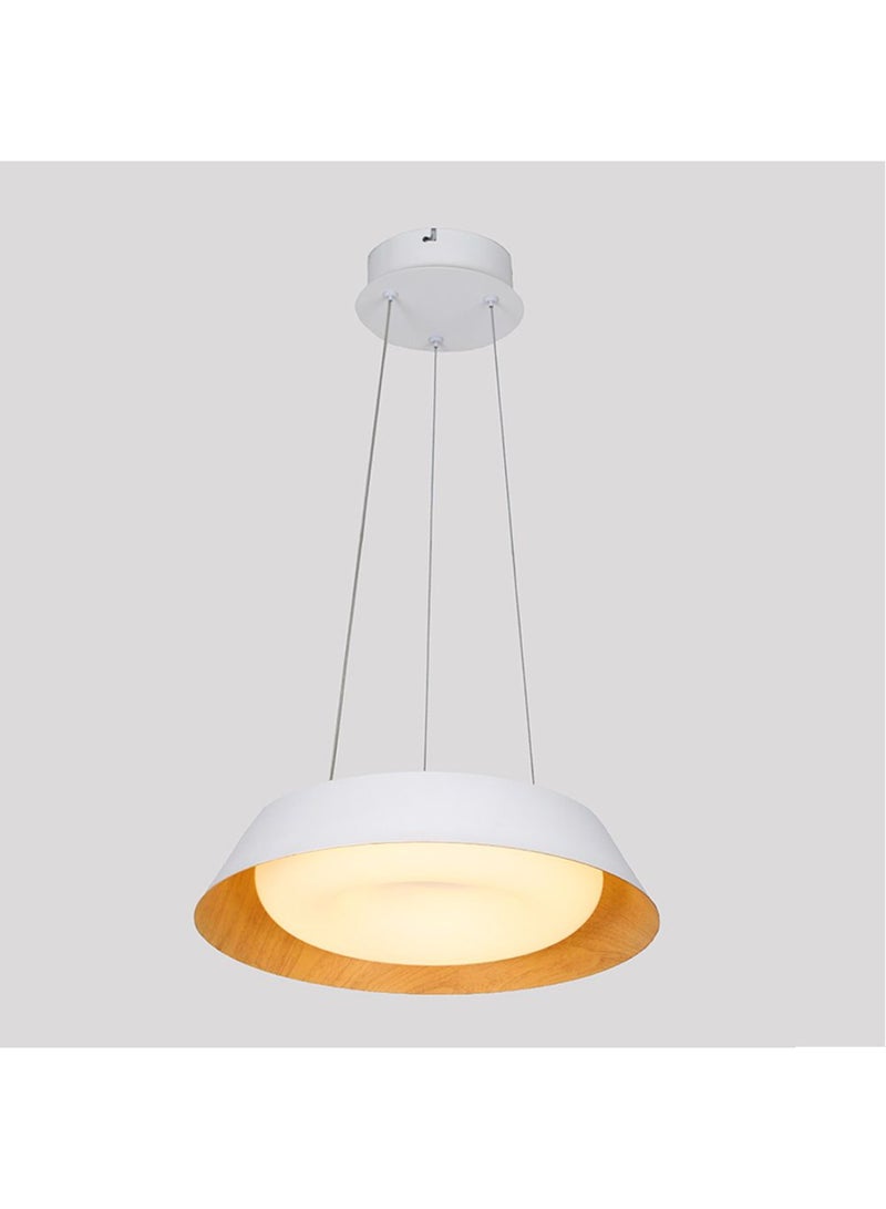 DANUBE HOME Palma LED Pendant Chandelier - Modern Indoor Lighting - 36x2W - White Iron & Acrylic - D50xW50xH8 cm - Stylish Home Decor - 2 Year Warranty 