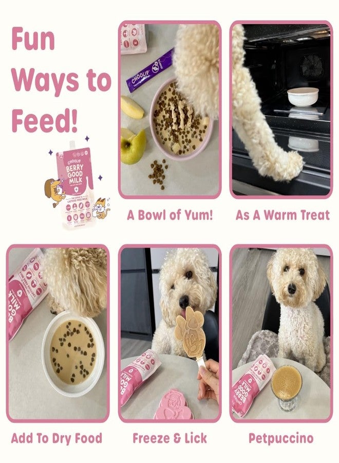 Choolip Berry Good Milk - 10-Pack Lactose-Free Vitamin Milk for Cats & Dogs | Vet-Formulated Pet Drink Supporting Urinary, Joint & Digestive Health | Grain-Free, Ready to Serve - Image 4
