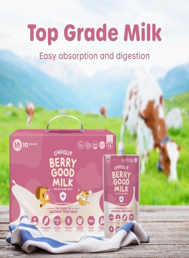 Choolip Berry Good Milk - 10-Pack Lactose-Free Vitamin Milk for Cats & Dogs | Vet-Formulated Pet Drink Supporting Urinary, Joint & Digestive Health | Grain-Free, Ready to Serve - Image 5