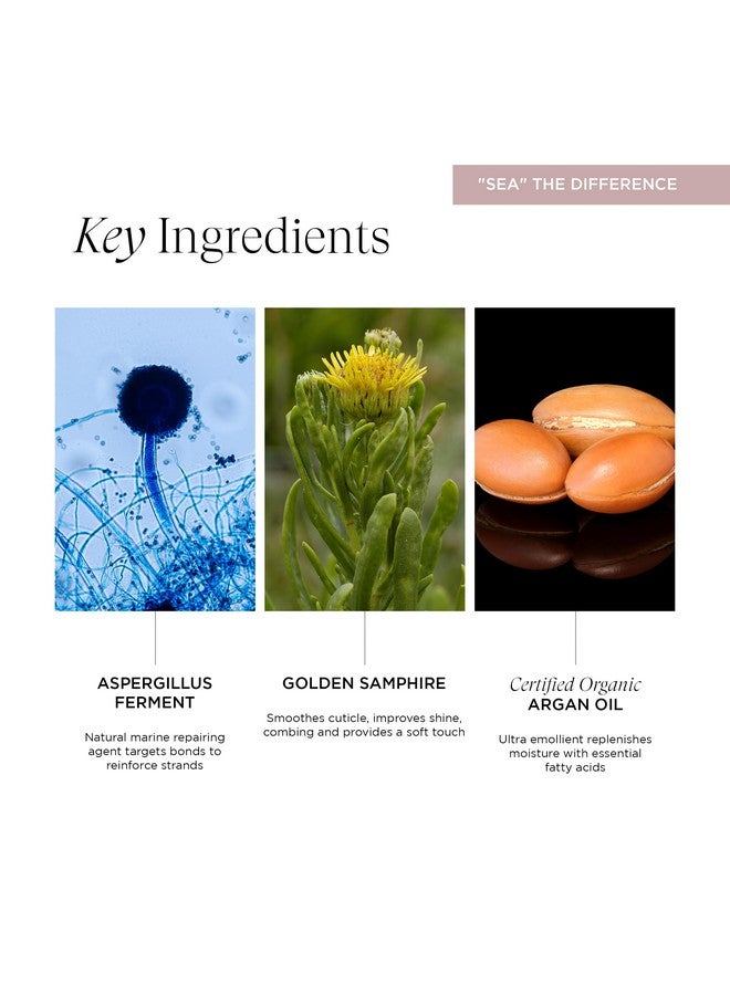 Intelligent Nutrients Shine Bright Moisture Hair Mask, Intense Conditioning for Lustrous Shine and Softness, Vegan, 4 Oz - Image 4