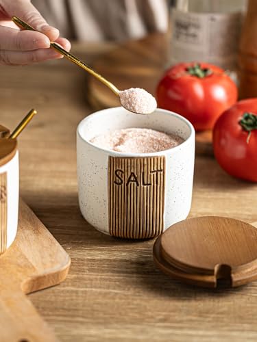 YHOJOY Salt Container for Countertop, Ceramic Salt Cellar with Lid and Spoons, 10 OZ Salt Bowl Holder, White - Image 4