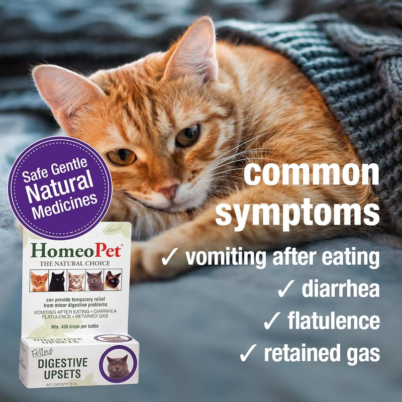 HomeoPet Feline Digestive Upsets Natural Cat Digestive Support Digestive Supplement for Cats 15 Milliliters - Image 3
