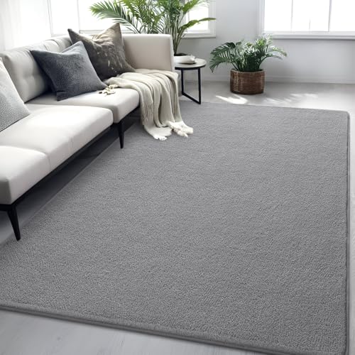 FALARK Gray Rugs for Bedroom Living Room, 4x6 ft Grey Area Rug, Washable Memory Foam Indoor Carpet, Modern Aesthetic Minimalist Non-Slip Carpets for Boys Girls Adults Home Decor - Image 1