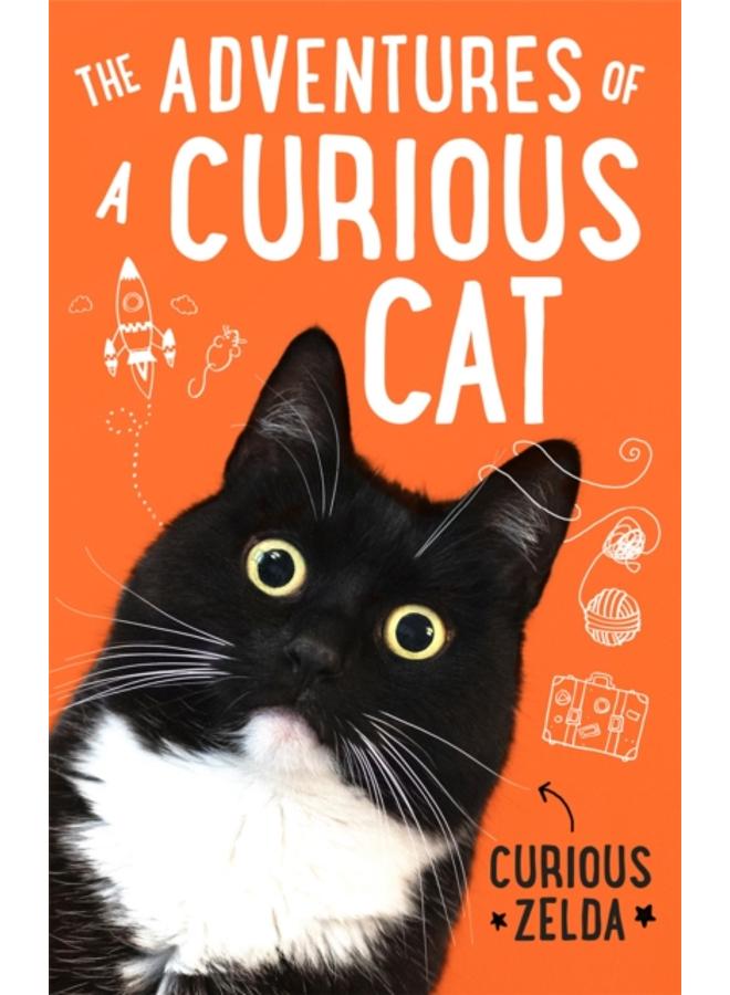 The Adventures of a Curious Cat : wit and wisdom from Curious Zelda, purrfect for cats and their humans 