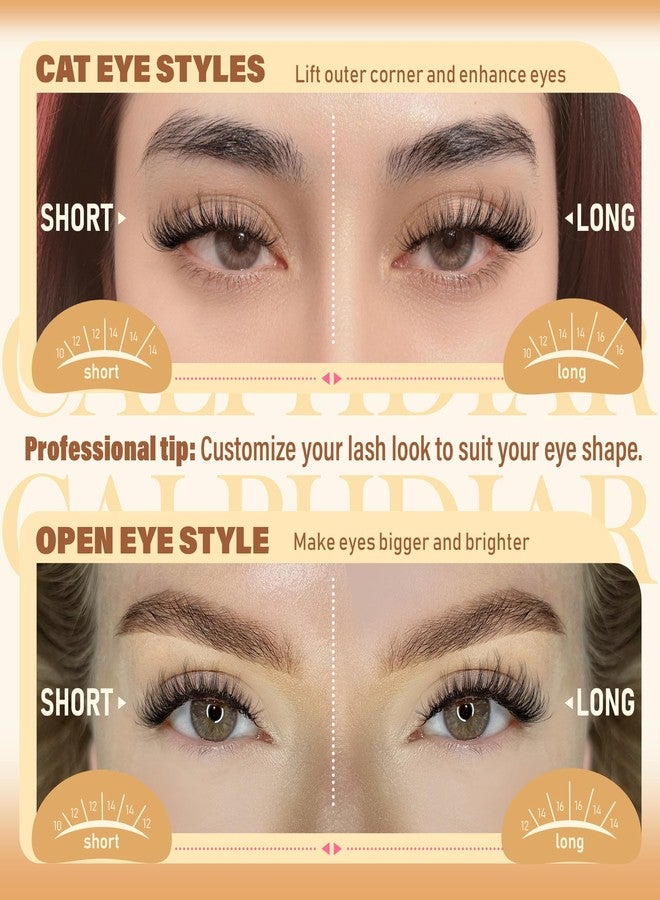 calphdiar Wispy Lash Clusters Fluffy Eyelash Clusters Natural Spider Lashes Clusters D Curl Cluster Eyelash Extensions Individual Lashes 10-16mm Eyelashes Cluters DIY Soft Glam Lash Extensions - Image 5