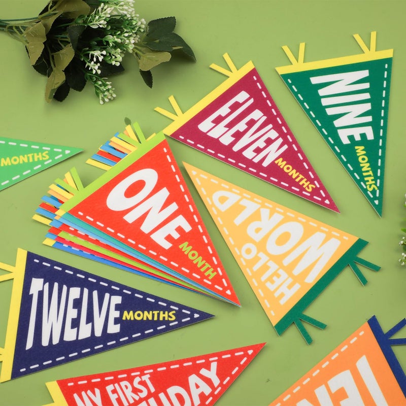 PEUTIER 14pcs Baby Milestone Flags, Felt Monthly Milestone Pennant Flag Colorful Baby Milestone Signs Milestone Banner for Newborn Baby Shower 1st Birthday Party Decorations (Pattern 2) - Image 3