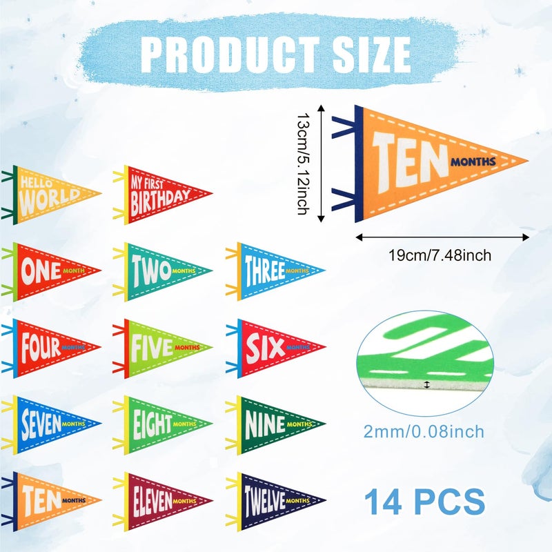PEUTIER 14pcs Baby Milestone Flags, Felt Monthly Milestone Pennant Flag Colorful Baby Milestone Signs Milestone Banner for Newborn Baby Shower 1st Birthday Party Decorations (Pattern 2) - Image 2