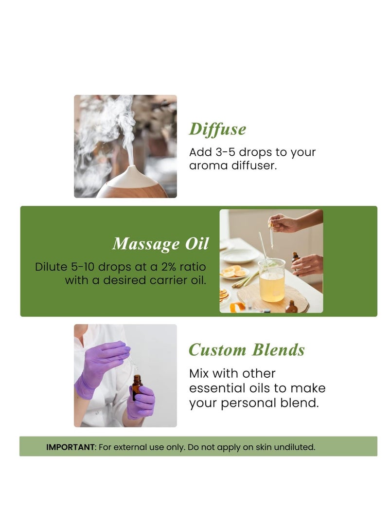 handcraft Blends Eucalyptus Essential Oil 100% Pure & Natural Premium Therapeutic Grade with Premium Glass Dropper - Huge 4 fl. Oz  - Image 5