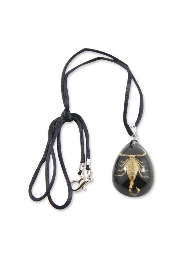 Gold Scorpion Necklace, Black, Small - pzsku/ZFB07900A5E4C1E6E00A6Z/45/_/1735214484/21e1fa2f-5967-470a-a0fe-f44b32d304a6