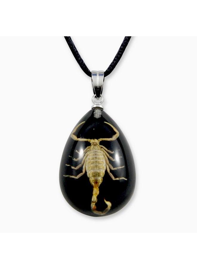 Gold Scorpion Necklace, Black, Small - pzsku/ZFB07900A5E4C1E6E00A6Z/45/_/1735214583/55cb8201-6773-4461-a033-d292896684b8