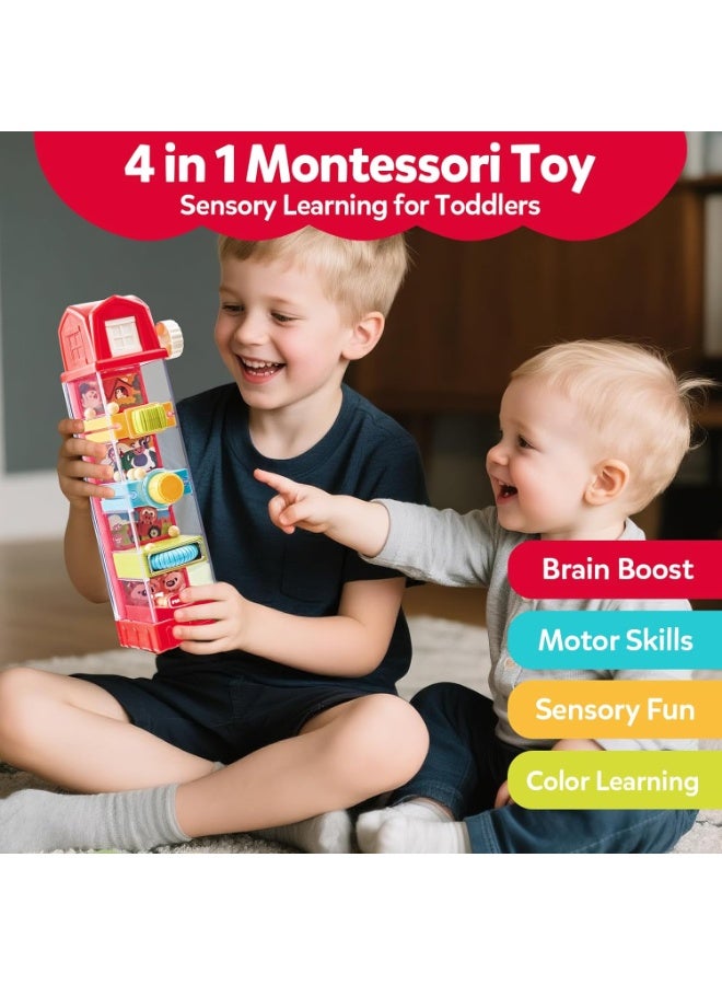 Soofam Baby Montessori Toys for 3 4 5 6 7 Year Old, Toddler Farm Egg Ball Drop Toy, Cause & Effect Educational Busy Board, Outside Sensory Toy for Kids 3-5, Xmas Birthday Gift for Baby Boy Girl - Image 2