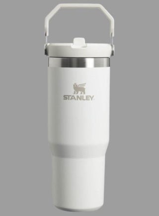 IceFlow Flip Straw Water Bottle With Straw 0.88L – Keeps Drinks Cold for 12+ Hours – Leakproof – Stainless Steel Water Bottle – BPA-Free Travel Mug – Easy to Carry – Dishwasher Safe – Frost Color - pzsku/ZFB091C12AA74D714C824Z/45/_/1740226573/ba6bc590-050f-4eb7-8632-08d243615e53