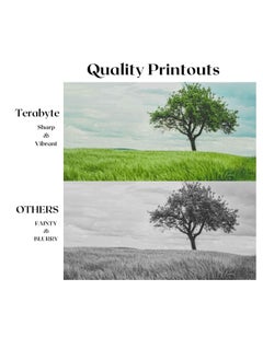 xerox XE6505/6500 COMPATIBLE TONER  - Image 2