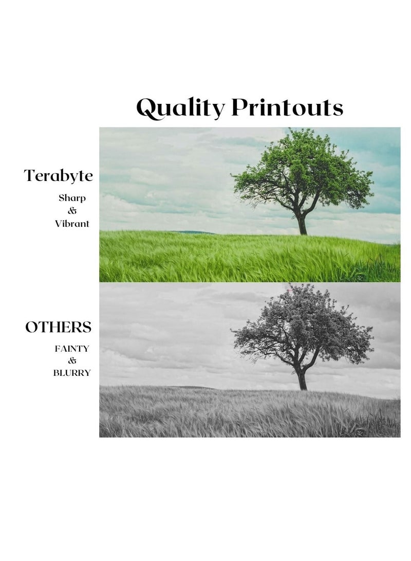 xerox XE6505/6500 COMPATIBLE TONER - Image 2