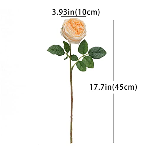 DUYONE Fake Flowers for Decoration Home Decor Real Touch Artificial Flowers Austin Rose Peony Latex Fake Flower Living Room Decoration Vivid Pink Roses Peonies (Champagne 4pcs) - Image 2