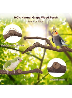 Mogoko Mogoko 5PCS Bird Perch Natural Wood Grape Stick Bird Stand, 3 Grape Stick Paw Grinding Fork Parakeet Chewing Stick 2 Parrot Stand Branch, Chewing Exercise Branches Bird Cage Accessories  - Image 4
