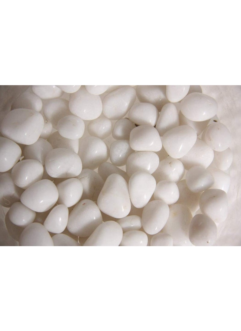 OhhSome OhhSome Polished White Colour Natural Pebbles Aquarium Fish Tank Colorful Stones Landscaping Vase Filler 1Kg  - Image 1