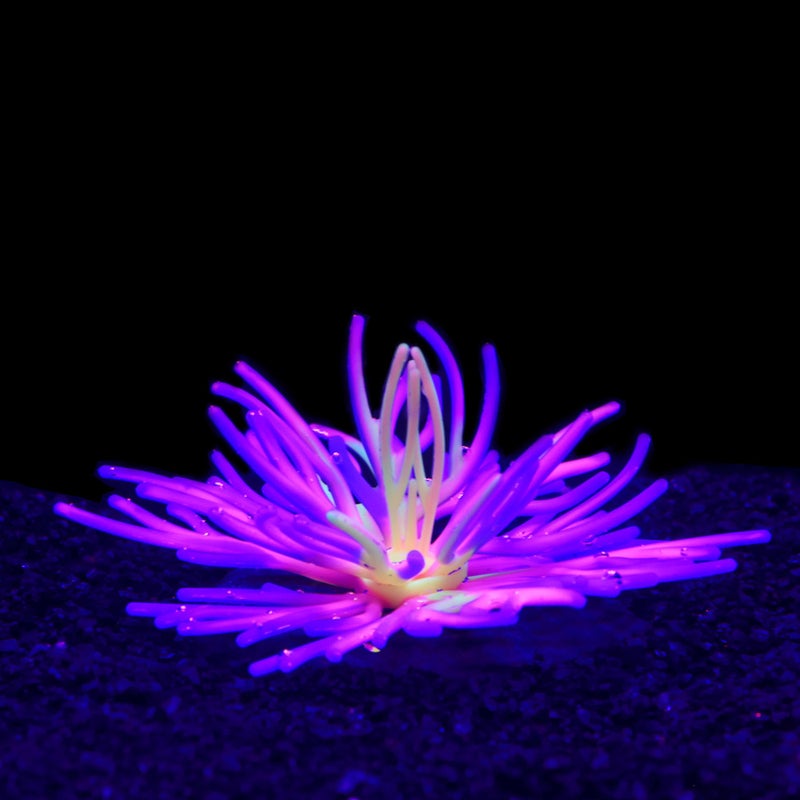 Generic Silicone Soft Simulation Sea Anemone Aquarium Decorations Cross-Border E-commerce Fish Tank Landscape Decorations Home Goods Blue 