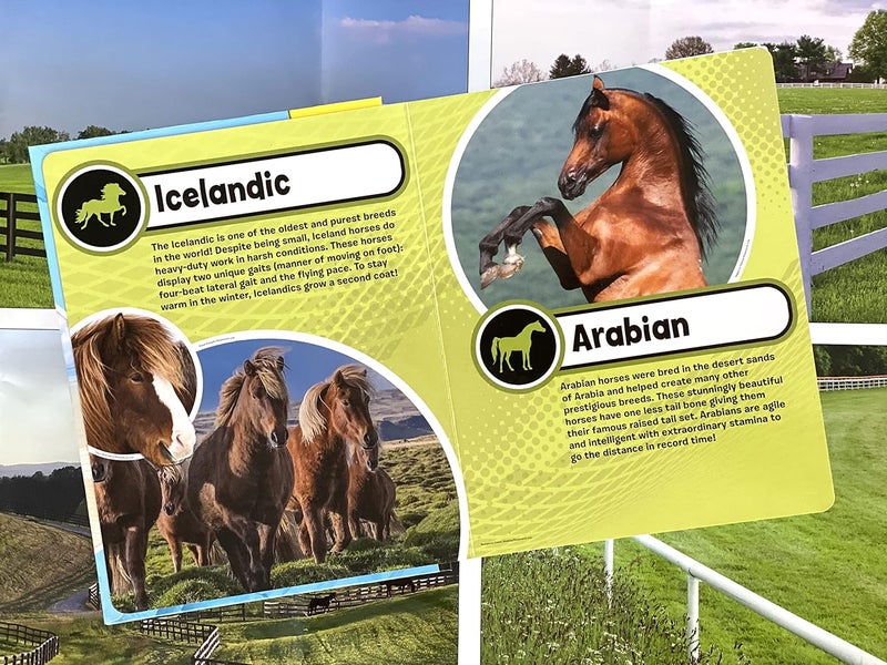 Phidal Publishing Inc WORLD OF HORSES MY BUSY BOOKS - Image 4