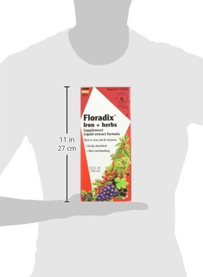 Floradix FLORA - Floradix Iron & Herbs, Vegetarian, Liquid, by Salus, 23 Fl Oz - Image 3