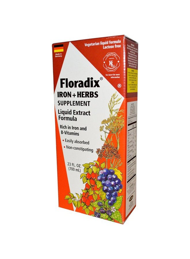Floradix FLORA - Floradix Iron & Herbs, Vegetarian, Liquid, by Salus, 23 Fl Oz - Image 2