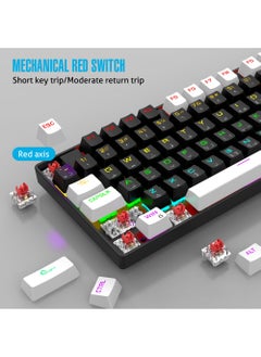 Rock Pow Arabic English Gaming Keyboard 104 Keys Mechanical Keyboard with RGB Backlight 19 Modes Wired Keyboard PBT Keycaps for Gaming PC (Red Switch)  - Image 2