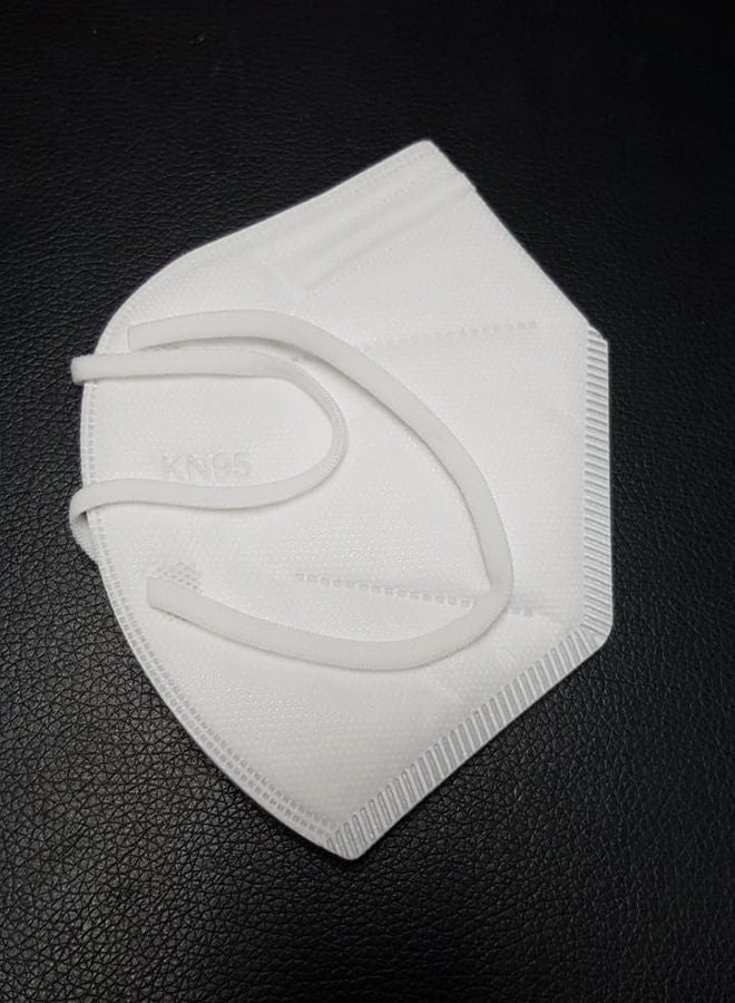 NIBEMINENT KN95 Face Mask - Image 1