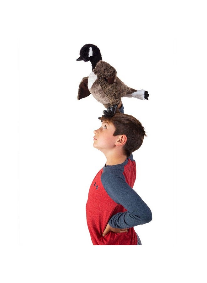 Folkmanis Canada Goose, Brown/a - Image 3