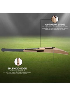 STRAUSS Strauss Underarm Cricket Bat | Kashmir Willow | Cricket Bat with Grip for Gully Cricket & Tournament Match | Standard Tennis Ball Bat for Cricket | Size: Short Handle (1150-1250 Grams)  - Image 3