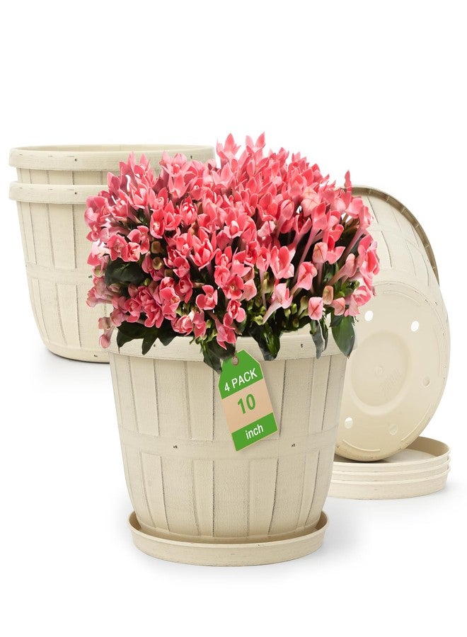 Quarut Flower Plant Pots - Image 1