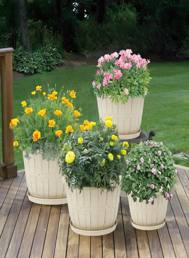 Quarut Flower Plant Pots - Image 5