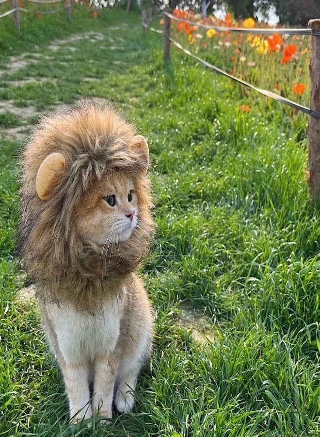 Pet Cat Lion Head Cover Pet Hat Funny Headwear Dress up（32cm-38cm)）  - Image 5