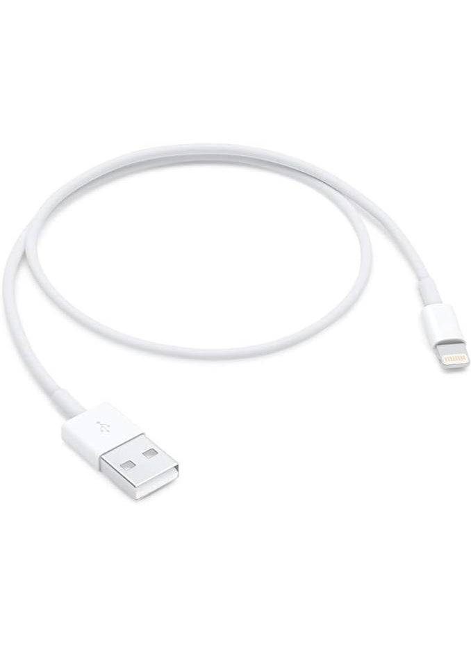 FLOWING Apple Lightning To USB Cable For  iPhone 1 M White  - Image 1