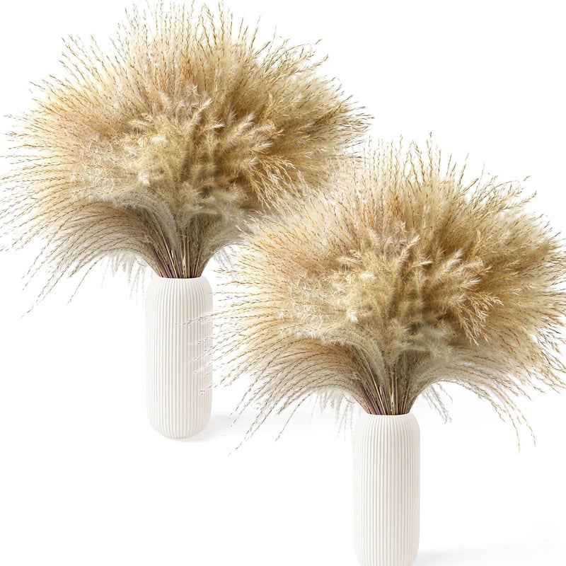 CKBT 120 PCS Exquisite Natural Pampas Grass Decor - Versatile Reed Grasses for Home & Event Decoration, Pompous Fluffy Tall Dried Reed Grass - Perfect for Vases, Wreaths & Table Centerpieces - Image 2