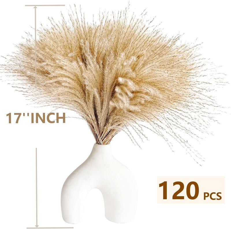 CKBT 120 PCS Exquisite Natural Pampas Grass Decor - Versatile Reed Grasses for Home & Event Decoration, Pompous Fluffy Tall Dried Reed Grass - Perfect for Vases, Wreaths & Table Centerpieces - Image 3