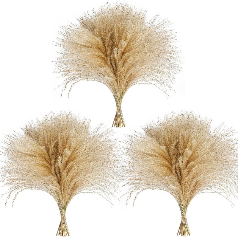 CKBT 120 PCS Exquisite Natural Pampas Grass Decor - Versatile Reed Grasses for Home & Event Decoration, Pompous Fluffy Tall Dried Reed Grass - Perfect for Vases, Wreaths & Table Centerpieces - Image 1