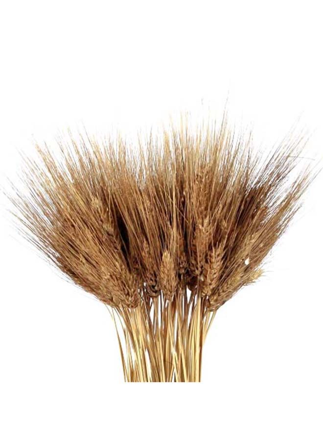 Generic Natural Dried Multi-Coloured Wheat Grass Bouquet Bundle (100, Gold)  - Image 3