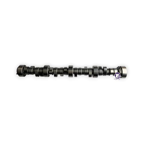 Dynosty Brian Tooley Racing BTR Red Hot Cam Kit LS1 LS2 LS3 5.7L 6.0L 6.2L Redhot Camshaft - Image 4