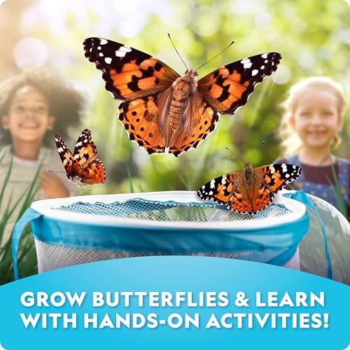Blue Marble National Geographic Ultimate Butterfly Growing Kit – Build a Habitat & Watch Caterpillars Transform, Includes Live Caterpillar Voucher, Cage, Feeder, Glow-in-The-Dark Figures, Hands-On Activities - Image 2
