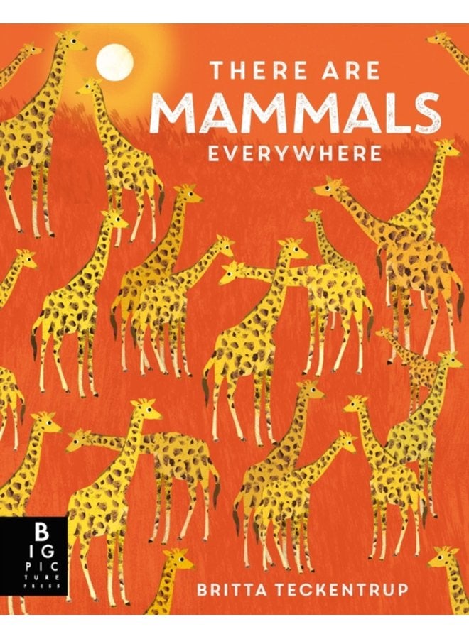 There are Mammals Everywhere - Hardback