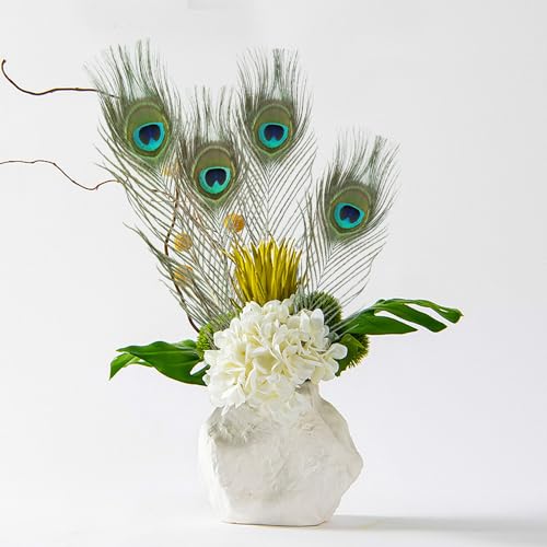 iHUFeather 10PCS Real Natural Peacock Eye Feathers 10-12 inch for DIY Craft Floral Arrangements,Wedding,Home and Party Decorations Feathers,Natural - Image 5