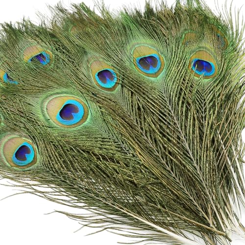 iHUFeather 10PCS Real Natural Peacock Eye Feathers 10-12 inch for DIY Craft Floral Arrangements,Wedding,Home and Party Decorations Feathers,Natural - Image 1