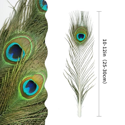 iHUFeather 10PCS Real Natural Peacock Eye Feathers 10-12 inch for DIY Craft Floral Arrangements,Wedding,Home and Party Decorations Feathers,Natural - Image 2