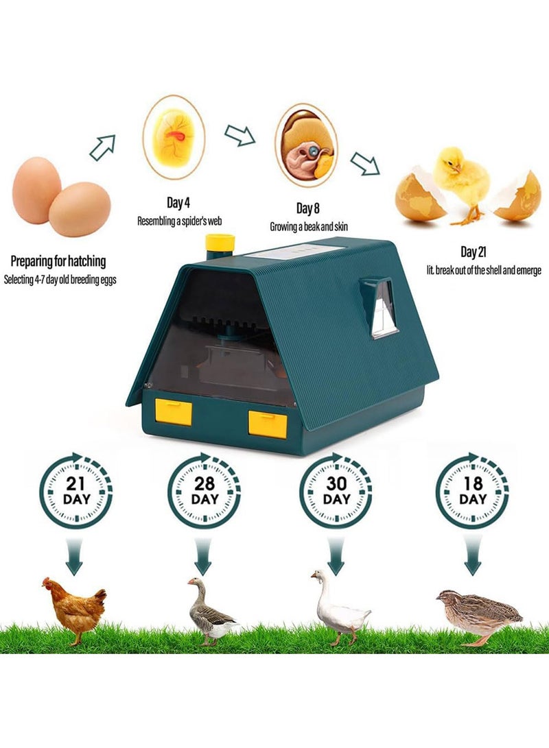 Premium Egg Incubator, Automatic Egg Hatching Incubator, 10 Eggs Poultry Hatcher with Automatic Temperature Control for Hatching, Chicken, Duck, Goose, Quail, Bird Eggs (Green) - Image 2