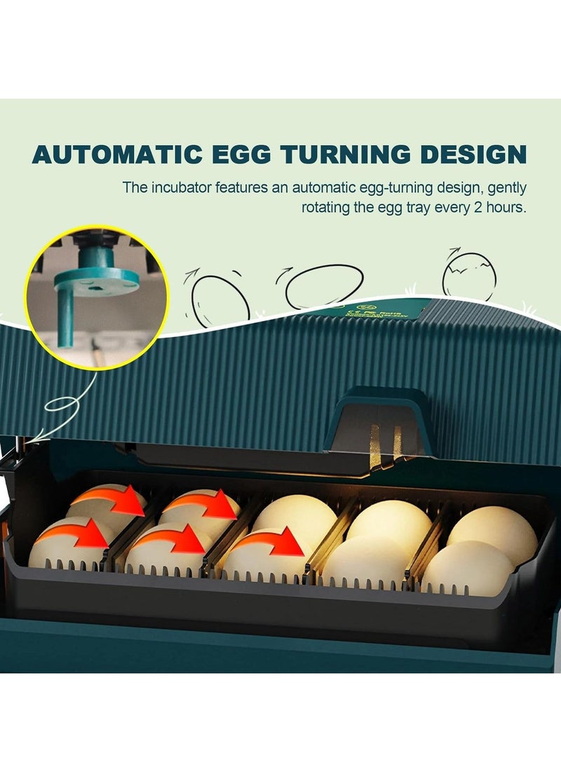 Premium Egg Incubator, Automatic Egg Hatching Incubator, 10 Eggs Poultry Hatcher with Automatic Temperature Control for Hatching, Chicken, Duck, Goose, Quail, Bird Eggs (Green) - Image 3