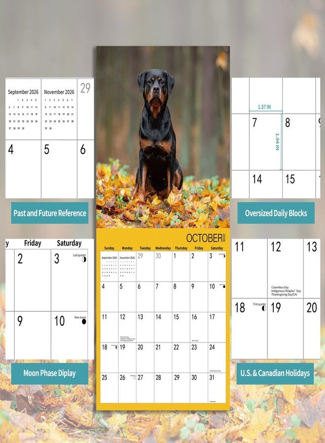 BLYYIEER 2026 Wall Calendar,ROTTWEILER Wall Calendar, 12" x 24" Open,Family Planner Calendar Organizer with ROTTWEILER Images, for Dogs Lovers - Image 4