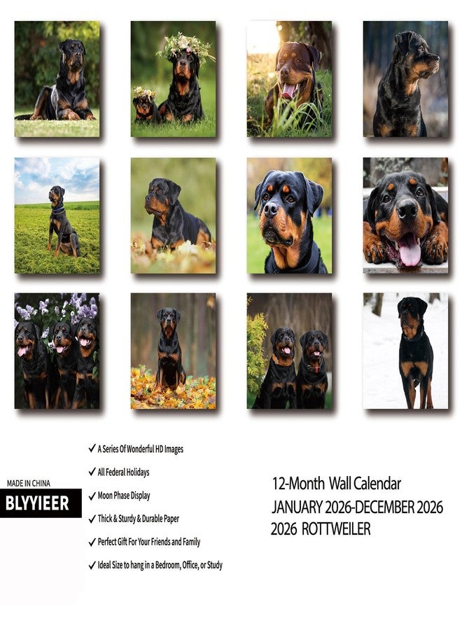 BLYYIEER 2026 Wall Calendar,ROTTWEILER Wall Calendar, 12" x 24" Open,Family Planner Calendar Organizer with ROTTWEILER Images, for Dogs Lovers - Image 2