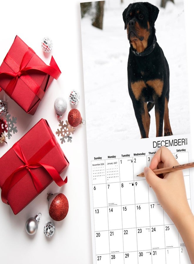 BLYYIEER 2026 Wall Calendar,ROTTWEILER Wall Calendar, 12" x 24" Open,Family Planner Calendar Organizer with ROTTWEILER Images, for Dogs Lovers - Image 5
