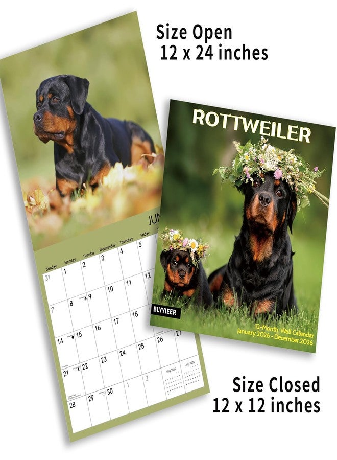 BLYYIEER 2026 Wall Calendar,ROTTWEILER Wall Calendar, 12" x 24" Open,Family Planner Calendar Organizer with ROTTWEILER Images, for Dogs Lovers - Image 3