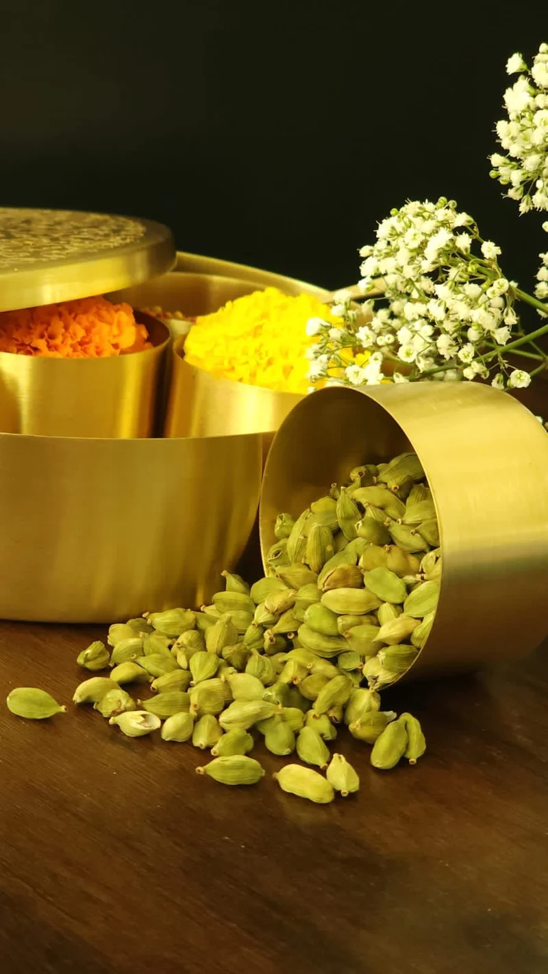 Quesera  Floral-Etched' Handcrafted Brass Spice Box Set for Kitchen with Spoon,Spice Box/Brass Masala Box/Masala Dani/Masala Dabba/Spice Container  | Best Price UAE